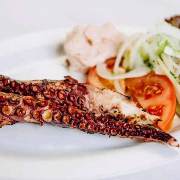 Galerie Fein gewürzte Oktopus-Tentakel, außen knusprig und innen butterzart, verfeinert mit bestem Olivenöl und mediterranen Kräutern