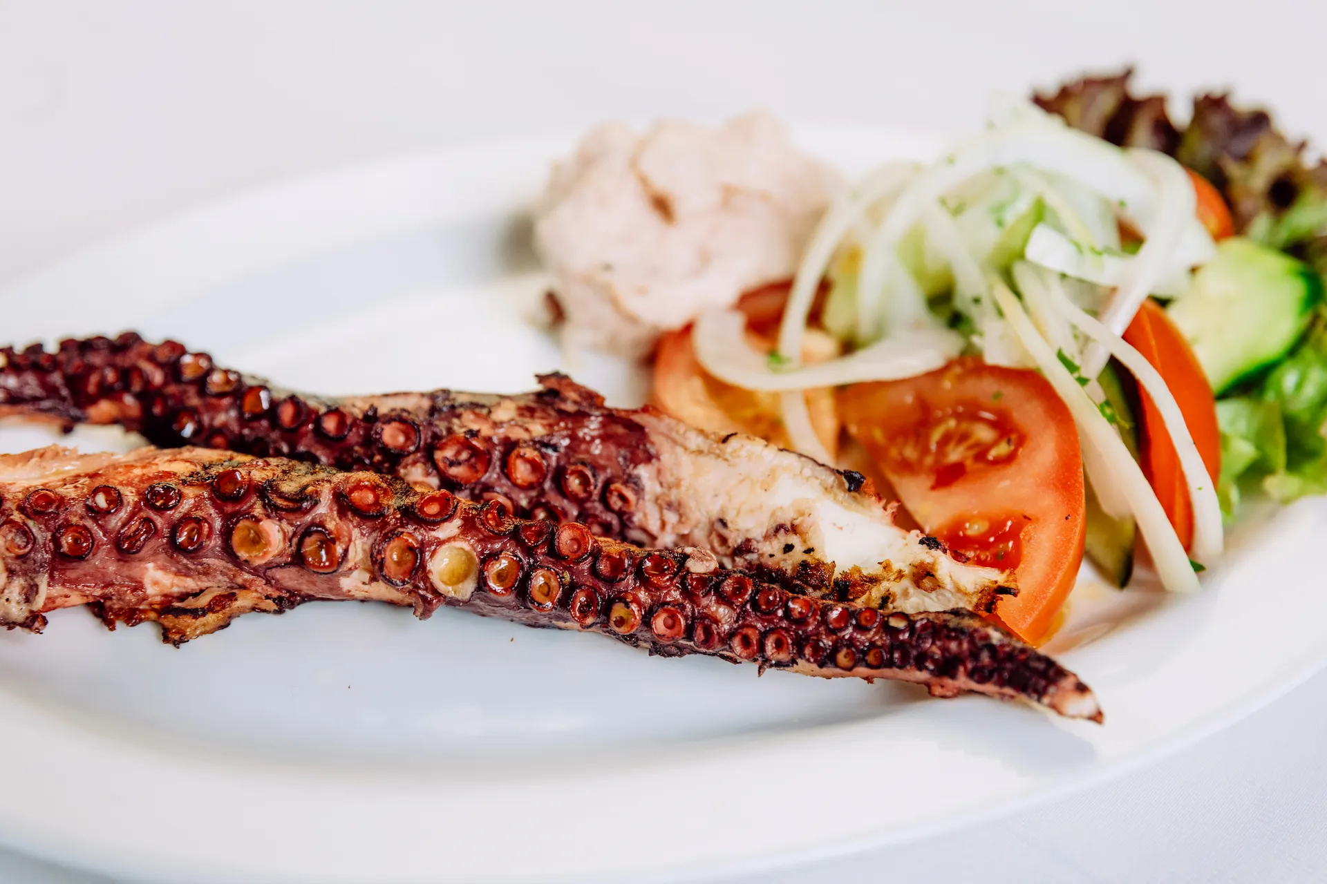 Fein gewürzte Oktopus-Tentakel, außen knusprig und innen butterzart, verfeinert mit bestem Olivenöl und mediterranen Kräutern