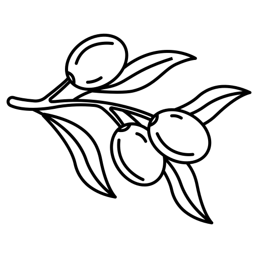 Oliven schwarz